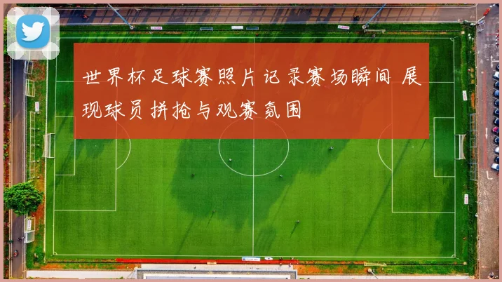 世界杯足球赛照片记录赛场瞬间 展现球员拼抢与观赛氛围