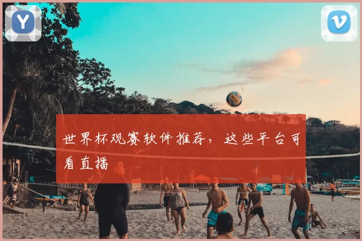 世界杯观赛软件推荐，这些平台可看直播