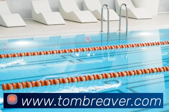 App Interface Preview